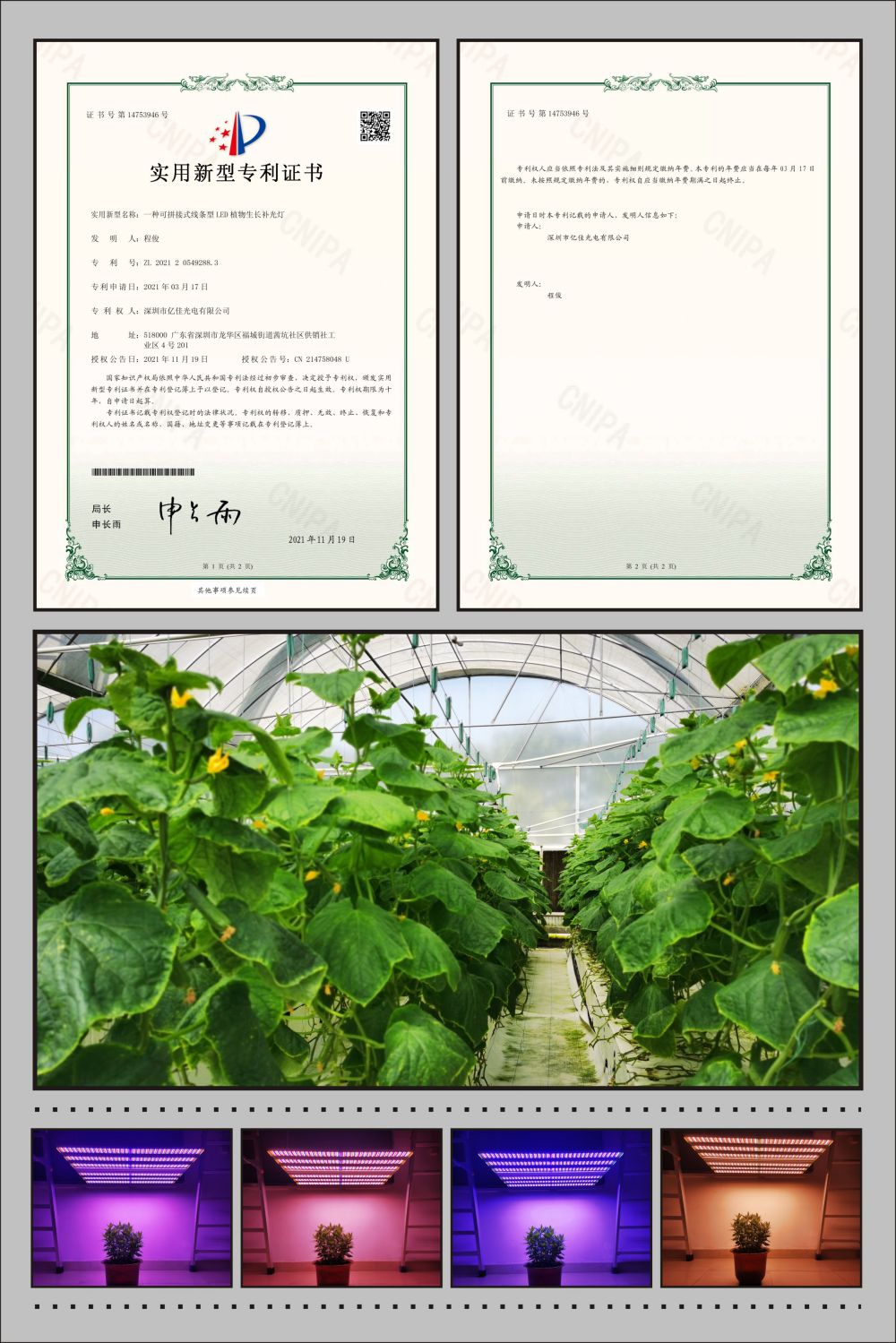 凯时K66植物农场灯适用新型专利